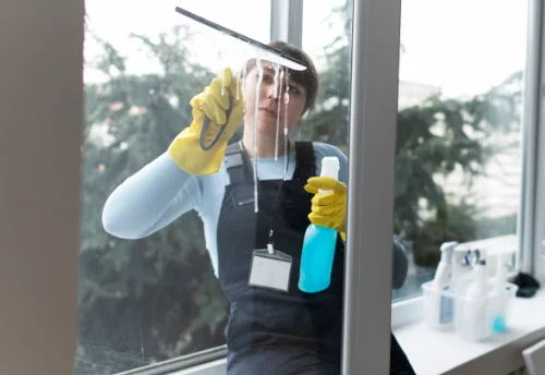 Nettoyage de vitres intérieures et extérieures à Écuillé